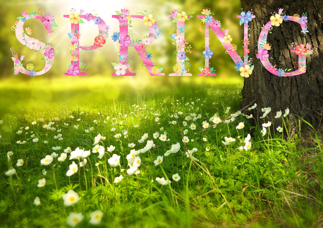 spring-1210194_1280.jpg